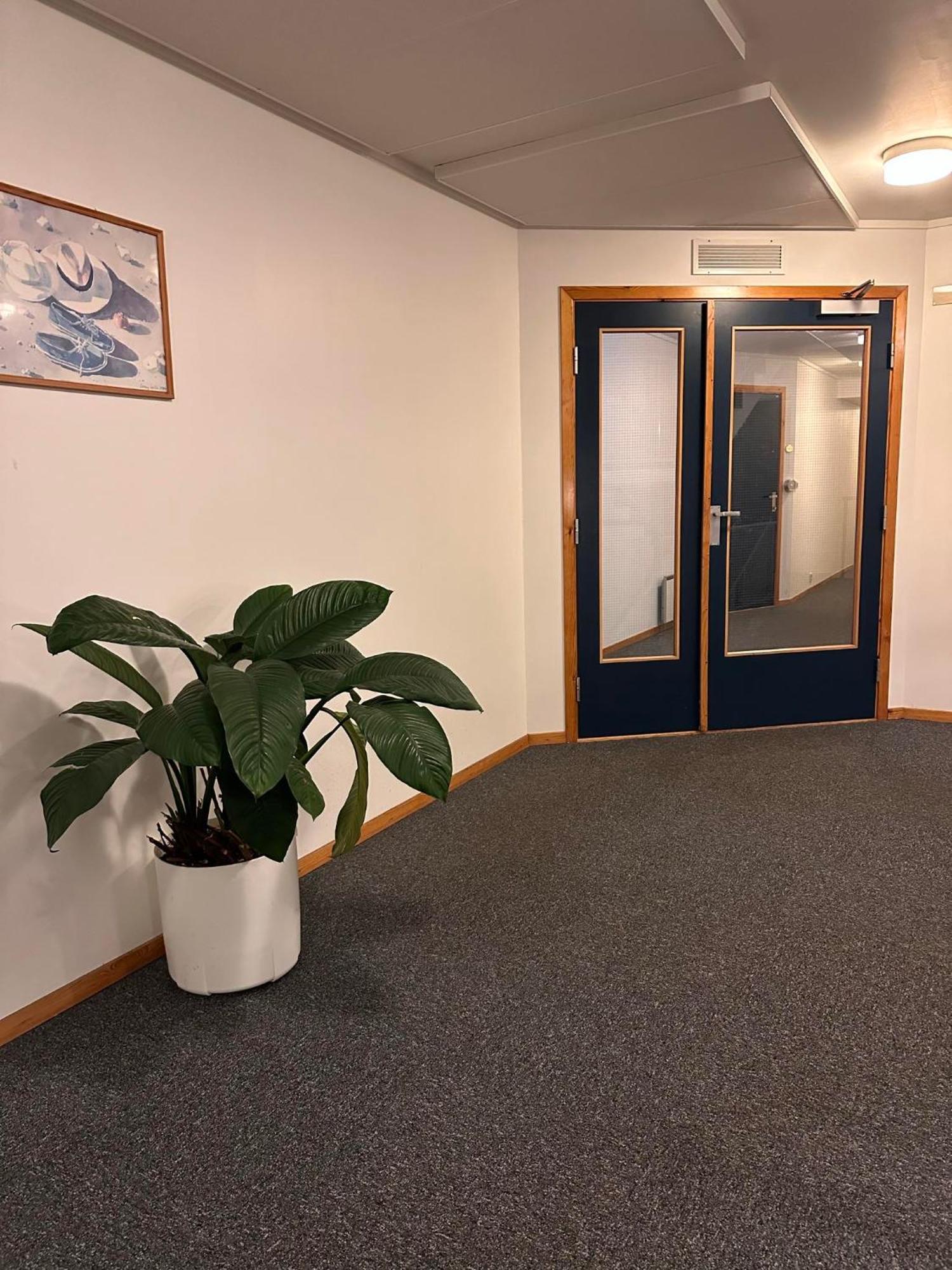 Harmony Tasta * Stavanger